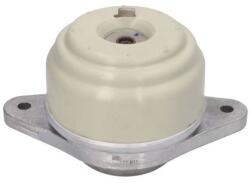 REINHOCH Suport motor REINHOCH RH11-3099 (RH11-3099) - fixbox