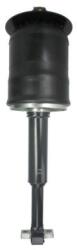 Magnum Technology Amortizor MAGNUM TECHNOLOGY ulei fata M0166 (M0166)