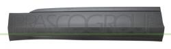 PRASCO Elemente decorative/protectie, portiera PRASCO VG8101404 (VG8101404)