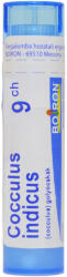 Boiron Cocculus Indicus C9 1x 4g Boiron