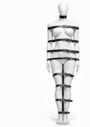 Master Series Backbone Full Body Harness Black
