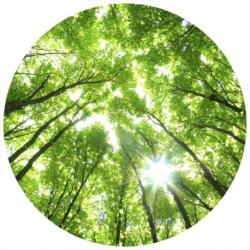 Wizard+Genius Fototapet natura WG 5439-R 140x140 cm
