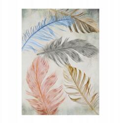 Toda-Carpets Szőnyeg 160X220 CM Nappaliba Modern Színes Csúszásgátló Tollak (704626 99822 mint_160x225)