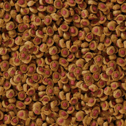 sera Turtle Adult Carnivore Duo Pellets 250 ml