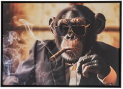  Tablou Chico Monkey 50/3, 8/70 cm (2080601)