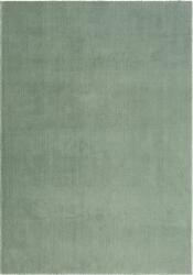  Covor Arabell verde 240/340 cm (88482547) Covor