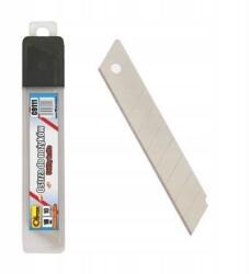 RICHMANN Set 10 lame cutter 18 mm segmentate pentru taiere precisa Richmann (C9111)
