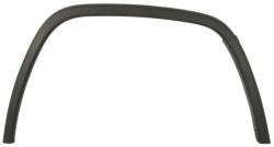Blic Elemente decorative/protectie, aripa Blic 5703-08-3207372P (5703-08-3207372P)