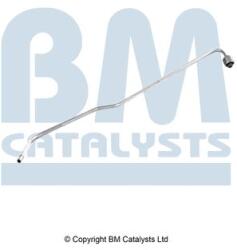 Bm Catalysts Conducta de presiune, senzor de presiune (filtru particule) BM CATALYSTS PP11191A (PP11191A)