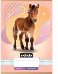Nebulo Nebulo: Paci mintás kockás füzet A/5 27-32 (NR-AM-A5-12347094) - jatekshop