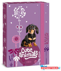 Ars Una Füzetbox ARS UNA A/4 Cute Animals-Puppy - nyomtassotthon