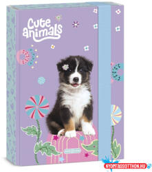 Ars Una Füzetbox ARS UNA A/5 Cute Animals-Aussie
