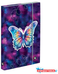 KARTON P+P Füzetbox OXY A/4 Butterfly