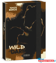 Ars Una Füzetbox ARS UNA A/5 Wild In The Dark