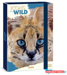Ars Una Füzetbox ARS UNA A/4 Icons of the Wild-Serval - nyomtassotthon