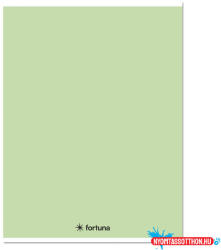 Fortuna Füzet kockás FORTUNA Monocolor A/5 32 lapos 27-32 pasztell zöld