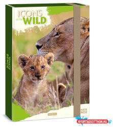 Ars Una Füzetbox ARS UNA A/4 Icons of the Wild-Lions