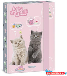 Ars Una Füzetbox ARS UNA A/5 Cute Animals-Tea Party
