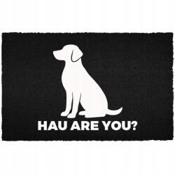 TabPrint Lábtörlő Bejárati Ajtó Alá 60X40CM Kókusz Fekete Hau Are You? (WYCIERACZKA HAU ARE YOU? Czarna kokosowa)