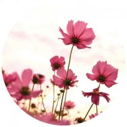 Wizard+Genius Fototapet floral WG NW8950 140x140 cm