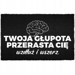 TabPrint Lábtörlő Kókusz Bemeneti 40X60 Fekete Sláger Felirat Hülyeség Túlszárnyal (WYCIERACZKA WEJŚCIOWA GŁUPOTA CIĘ PRZERASTA)