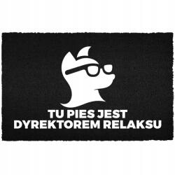 TabPrint Lábtörlő Kókusz Bemeneti 40X60 Humorral Felirat Relaxációs Igazgató: Kutya (WYCIERACZKA WEJŚCIOWA 40X60 WITAJ! BĄDŹ SOBĄ.)