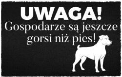 TabPrint Lábtörlő Bejárati Kókusz 40X60 Fekete Humor Felirat Házigazdák > Kutya (WYCIERACZKA WEJŚCIOWA GOSPODARZE > PIES 40X60)