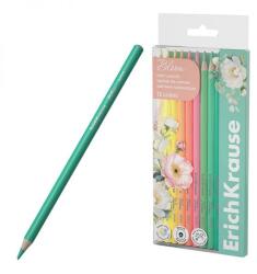 ErichKrause Pastel Bloom színesceruza készlet műanyag dobozban - 12 darabos (FR-61821)