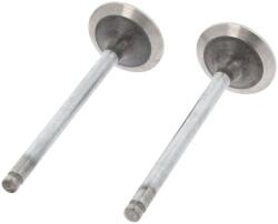 CORTECO Szívószelep CORTECO 550252B for RENAULT, FIAT, CITROËN, PEUGEOT (550252B)