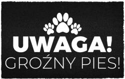 TabPrint Lábtörlő 40X60 Fekete Az Ajtó Alatt Humor Felirat Veszélyes Kutya (WYCIERACZKA WEJŚCIOWA GROŹNY PIES 40X60 HIT)