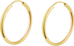 Olivie Stříbrné 3cm KRUHY GOLD 7084 (XUHU)