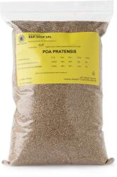 R&R Shop Poa Pratensis pázsitfűmag önmegújuló gyephez - 500 g / 20 m2