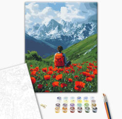 Alkotásutca Pipacsmező közepén - Számfestő készlet kereten 40X50