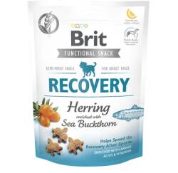 Brit Care, Recompense Recovery pentru caini, hering si catina, 150g - club4labute