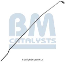 Bm Catalysts Conducta de presiune, senzor de presiune (filtru particule) BM CATALYSTS PP31040A (PP31040A)