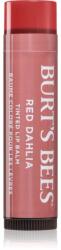 Burt's Bees Tinted Lip Balm balsam de buze culoare Red Dahlia 4.25 g