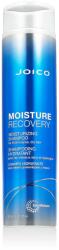 Joico Moisture Recovery Moisturizing Shampoo 300 ml - parfimo
