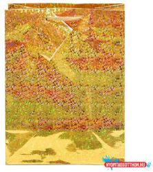 Creative Dísztasak CREATIVE Special Hologram M 18x23x10 cm egyszínű arany sodort füles