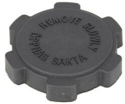 THERMOTEC Buson, vas expansiune THERMOTEC DBSC004TC (DBSC004TC)
