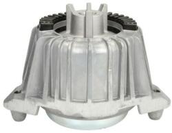 REINHOCH Suport motor REINHOCH RH11-3035 (RH11-3035) - fixbox