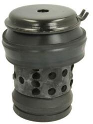 REINHOCH Suport motor REINHOCH RH11-0018 (RH11-0018) - fixbox