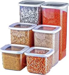 ginzamaison Set 6 Cutii alimente (2X550 ml, 2X1200 ml, 2X1750 ml), Alb Transparent, si 24 etichete adezive (GNZ-FRS-6-B)