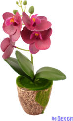  Mohás cserepes orchidea 28 cm - Bordó