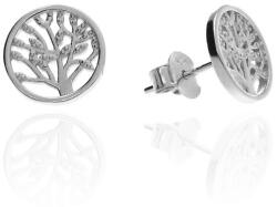 Fine Silver AG125152 - Ezüst beszúrós stekker záras fülbevaló (AG125152)