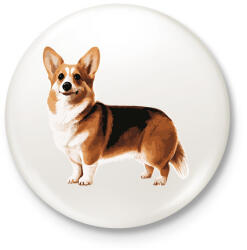 printfashion Corgi - Kitűző, hűtőmágnes - Fehér (17989969)