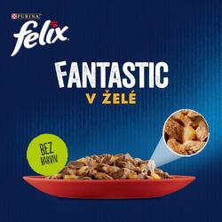 FELIX Fantastic Multipack tasakos eledel - marhával, csirkével, kacsával és báránnyal zselében 44 x 85 g