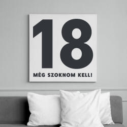 printfashion 18 - még szoknom kell - Vászonkép - Fehér (18085382)