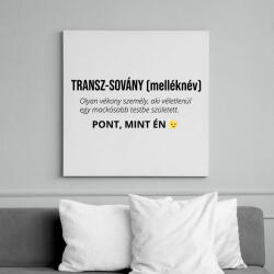 printfashion Transz-sovány definíció - Vászonkép - Fehér (18277452)