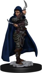 WizKids Pathfinder Battles: Premium Painted Figure - Human Rogue Female (634482775011) Figurina