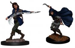 WizKids Pathfinder Deepcuts: Human Rogue Female (634482902691) Figurina
